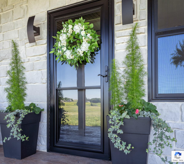 black storm doors